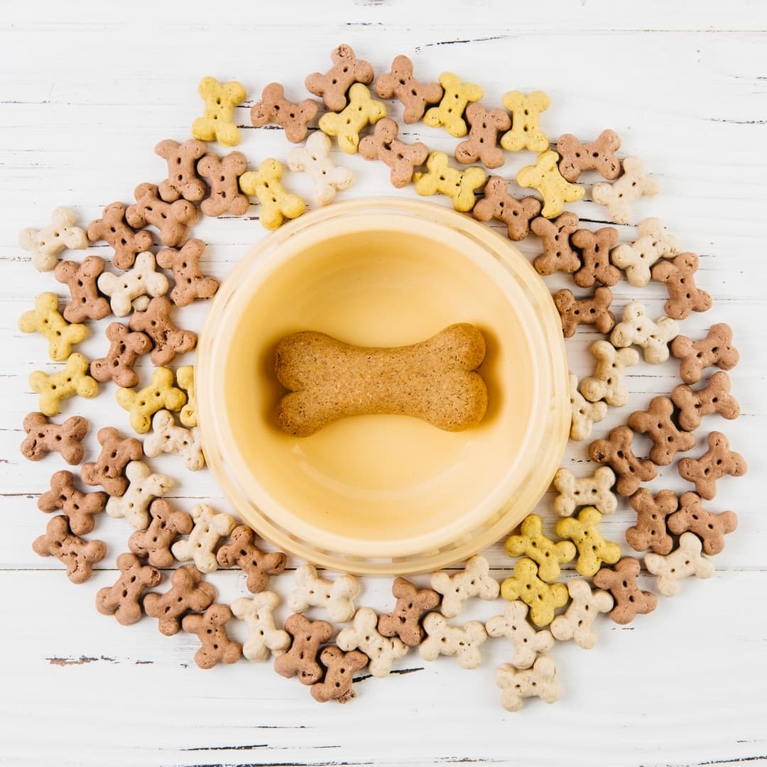 Slurvo - Premium Dog Chew Manufacturer and Pet Treat Exporter from India